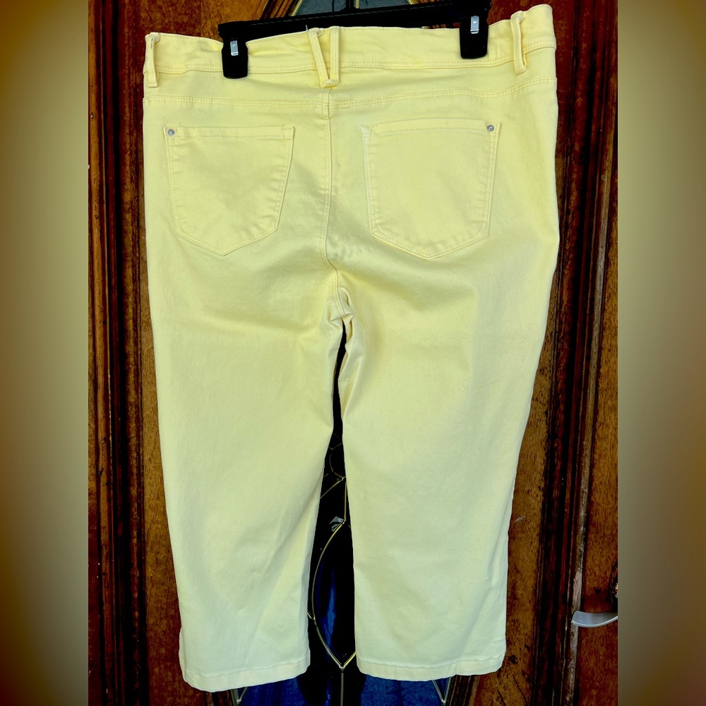 Curve Appeal 16/33 NWOT Yellow Wear it casual or dress it up.